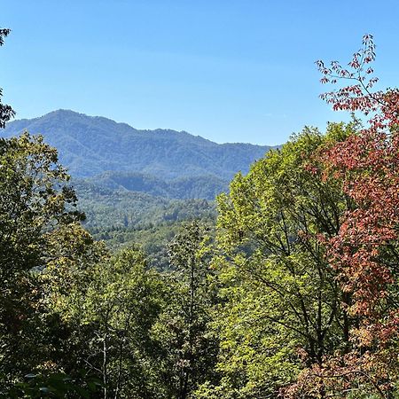 Stunning Views, Superb Atmosphere, Modern Amenities, In The Middle Of Nature Bryson City Exterior foto