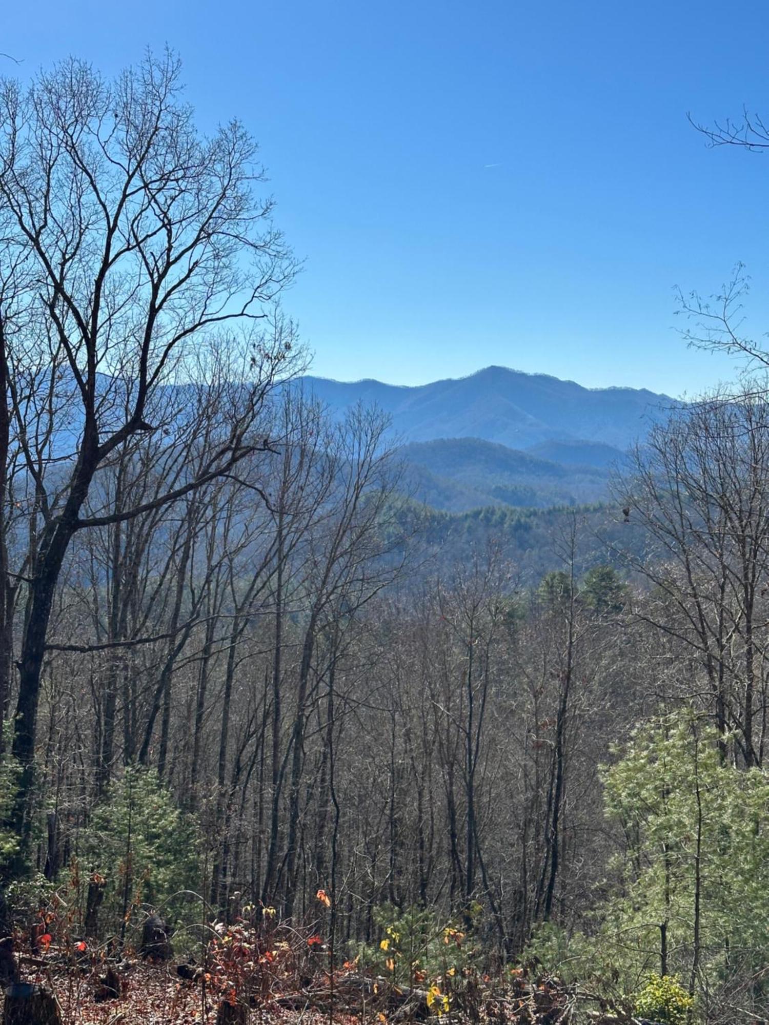 Stunning Views, Superb Atmosphere, Modern Amenities, In The Middle Of Nature Bryson City Exterior foto