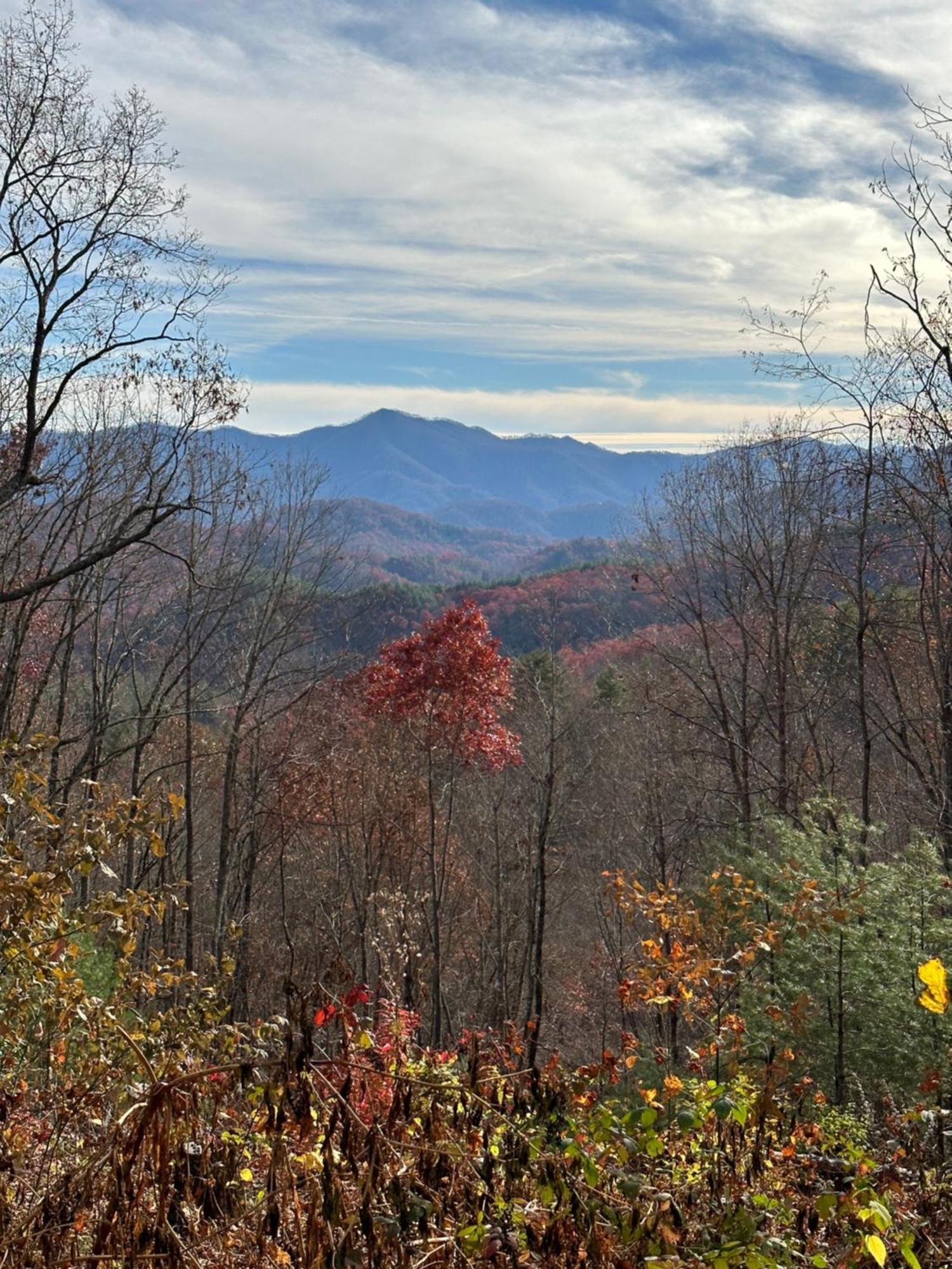 Stunning Views, Superb Atmosphere, Modern Amenities, In The Middle Of Nature Bryson City Exterior foto